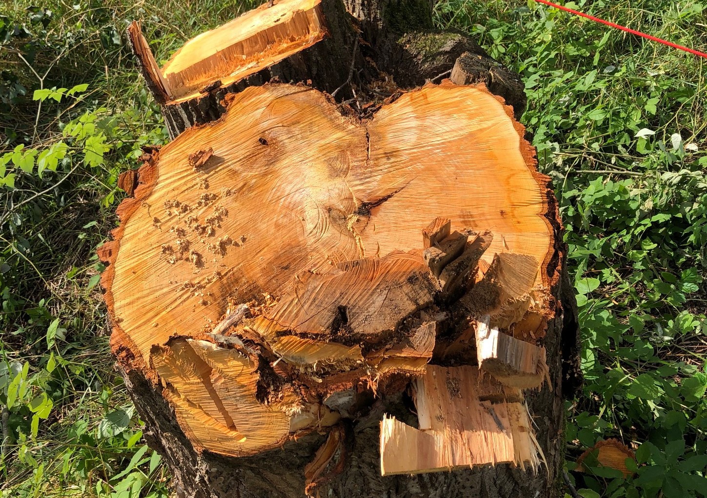 Følg med på utbygginger