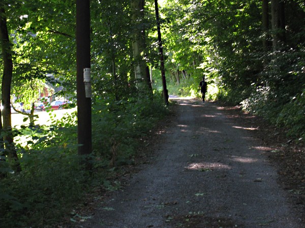 Artikkelbilde til artikkelen Kommunen vil overta prioriterte velveier